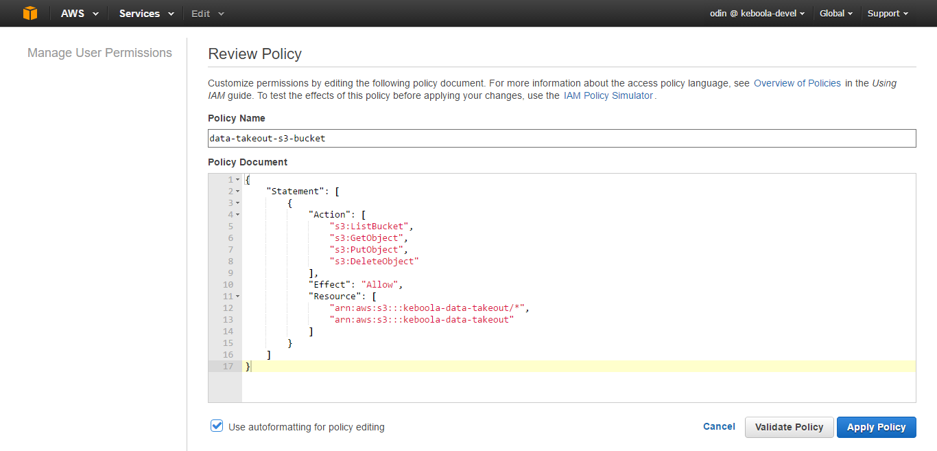 Screenshot - AWS Create Custom Policy Document